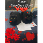 cats/kittens!