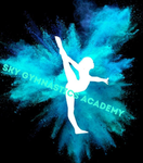 Sky Gymnastics Academy