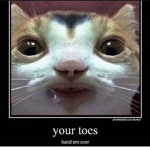 offensive humor