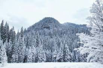 .~.THE WINTER CABIN.~.