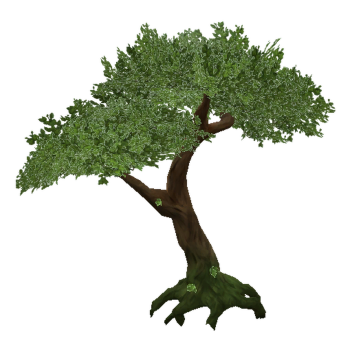 ONLY SEE A TREE 