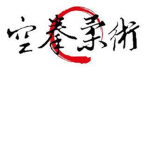공권유술(public jujutsu)