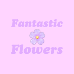 Fantastic flowers!