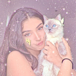 Jessica's Fairiess