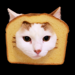 Toast Coast Industries