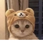 Beanie’s limited