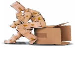 Cardboard bones