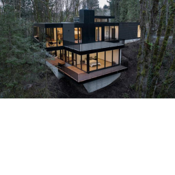 a house in the woods