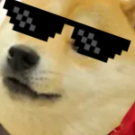 Koxowicemaxy
