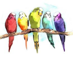The bird hotels