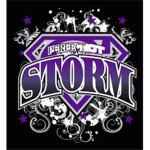 Perfect Storm Cheerleading