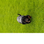 FortniteGamers649297 Robux group!