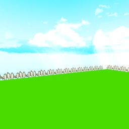 Paper Feild