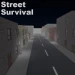 Street Survival icon