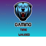 Official waleed plays yt group (selling cloths)