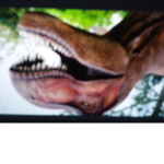 DINO PARTY :3