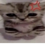 'meow' :3