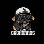LC inc.