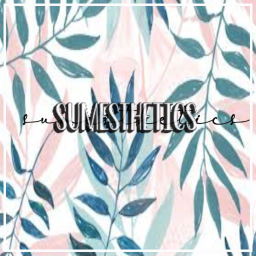 sumesthetics homestore