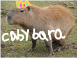 Cabybara king
