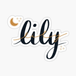 • Lily •