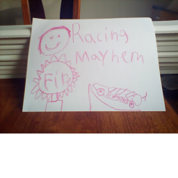Racing mayhem