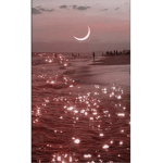 •aestheticssssssss•
