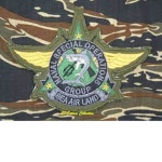 •NAVSOG• Naval Special Operation Group