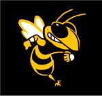 The BMHL Hornets