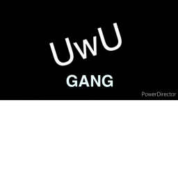 UwU cafe