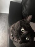 Mxddie moo<3