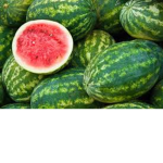 watermellon_nation