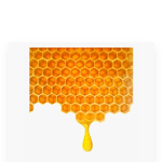 Honey BTS Army