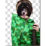 SHREKGANGSQUADPOG