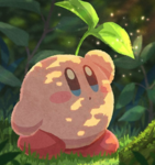 xxkirbys group