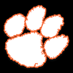Tiger clan (bedwars)