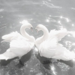 HIGH & BEAUTIFUL ღ