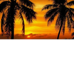 Hallo liebe Leutchen