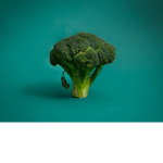 Broccoli Stuidos