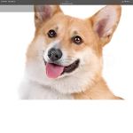 CoRgI peps