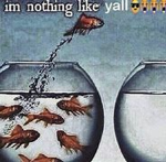 dorhia is bad at da hood im better