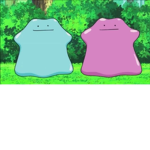 Ditto's for live