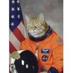 CAT NASA inc