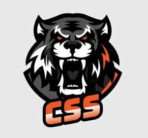 CSS GYM