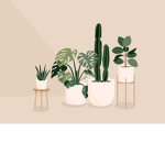 PAsTeL PLaNts