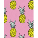 Pineapple Fruits :D