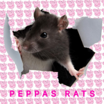 PEPPA’S RATS