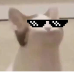 Royal Pop Cat Army