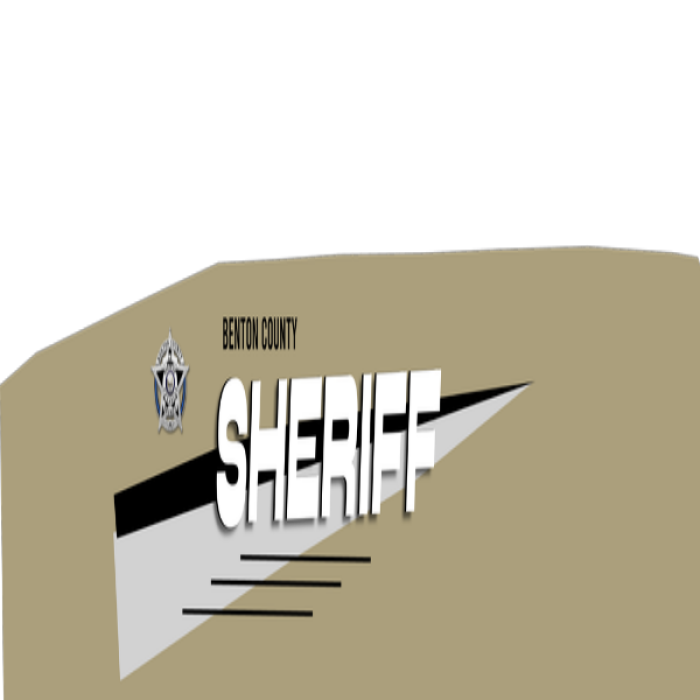 Chevlon_Camion_Template_Left Roblox decal
