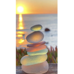 ~Seashell~